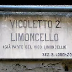 Limoncello Loft House,In The Heart Of Naples!